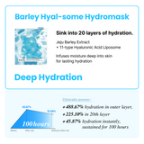 Hydro Mask 3 Set with Stress Ball Gift