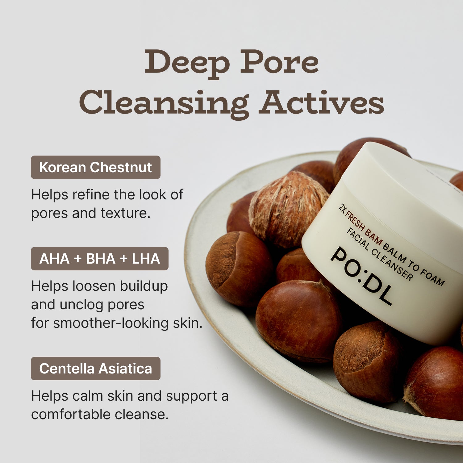 Chestnut Balm to Foam Cleanser