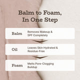 Chestnut Balm to Foam Cleanser