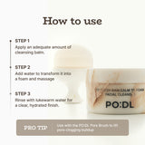 Chestnut Balm to Foam Cleanser