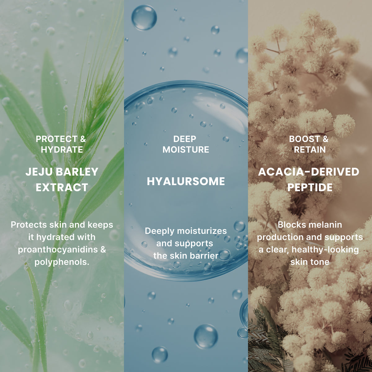 Barley Hyal-some Water Tank Hydrogel mask
